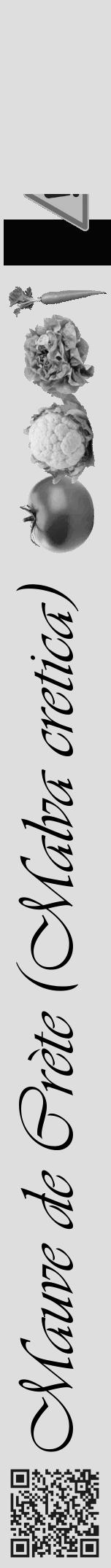 Étiquette de : Malva cretica - format a - style noire20viv avec qrcode et comestibilité simplifiée - position verticale