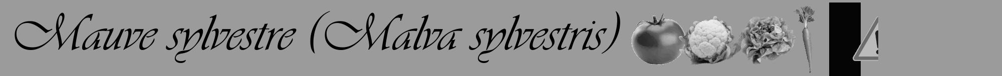 Étiquette de : Malva sylvestris - format a - style noire52viv avec comestibilité simplifiée
