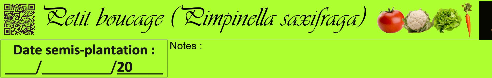 Étiquette de : Pimpinella saxifraga - format a - style noire17basiqueviv avec qrcode et comestibilité simplifiée