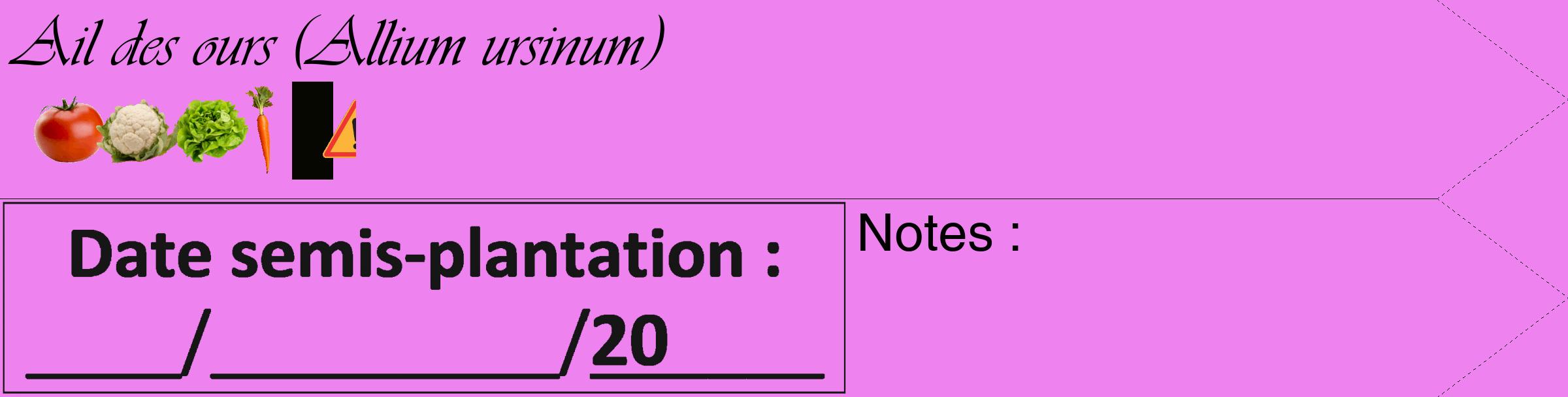 Étiquette de : Allium ursinum - format c - style noire53_simple_simpleviv avec comestibilité simplifiée
