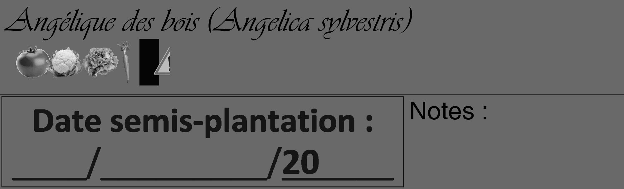 Étiquette de : Angelica sylvestris - format c - style noire11_basique_basiqueviv avec comestibilité simplifiée