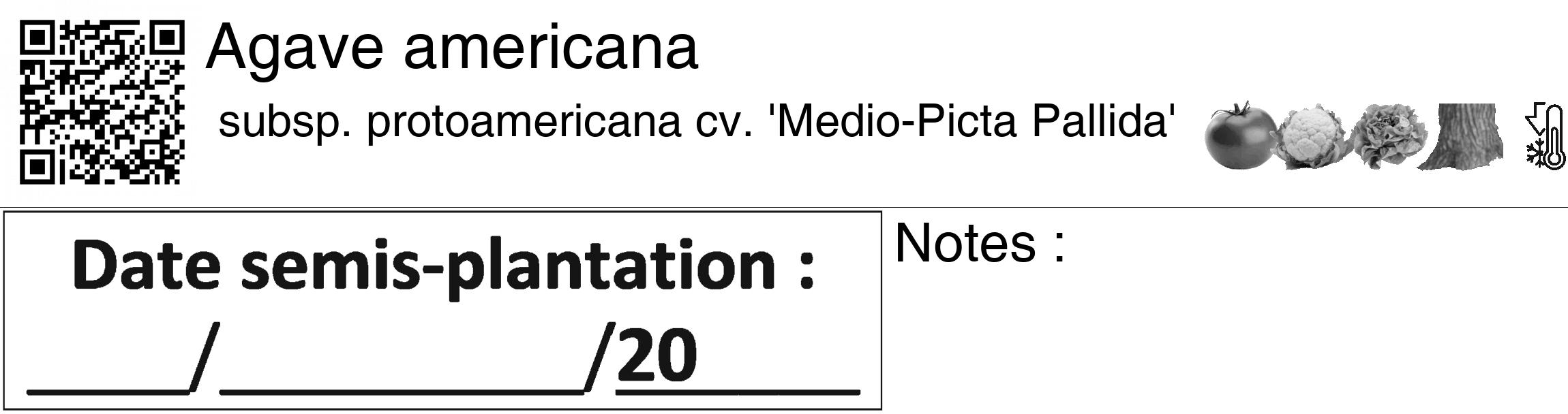 Étiquette de : Agave americana subsp. protoamericana cv. 'Medio-Picta Pallida' - format c - style noire60_basiquegrrvhel avec qrcode et comestibilité simplifiée