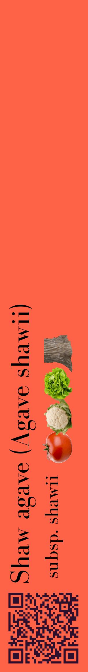 Étiquette de : Agave shawii subsp. shawii - format c - style noire25_basiquebod avec qrcode et comestibilité simplifiée