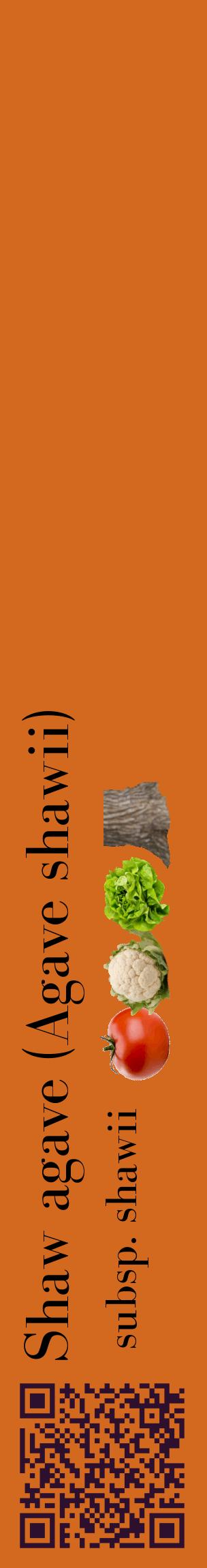 Étiquette de : Agave shawii subsp. shawii - format c - style noire31_basiquebod avec qrcode et comestibilité simplifiée