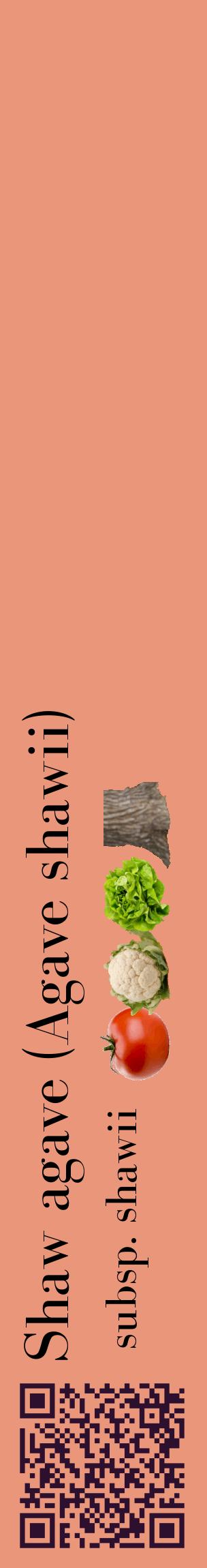 Étiquette de : Agave shawii subsp. shawii - format c - style noire37_basiquebod avec qrcode et comestibilité simplifiée