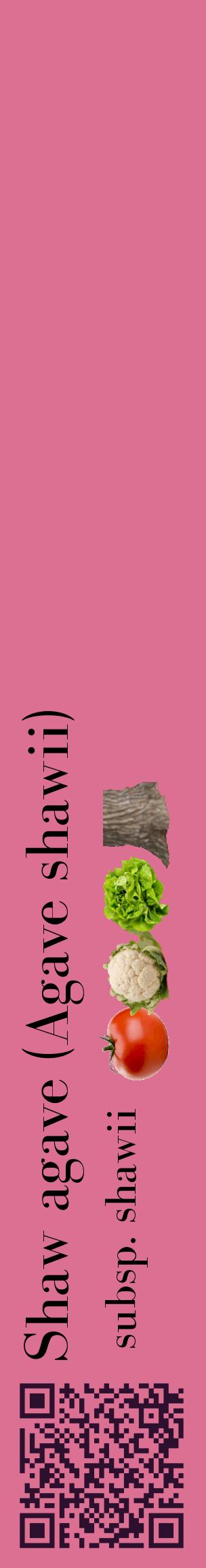 Étiquette de : Agave shawii subsp. shawii - format c - style noire44_basiquebod avec qrcode et comestibilité simplifiée