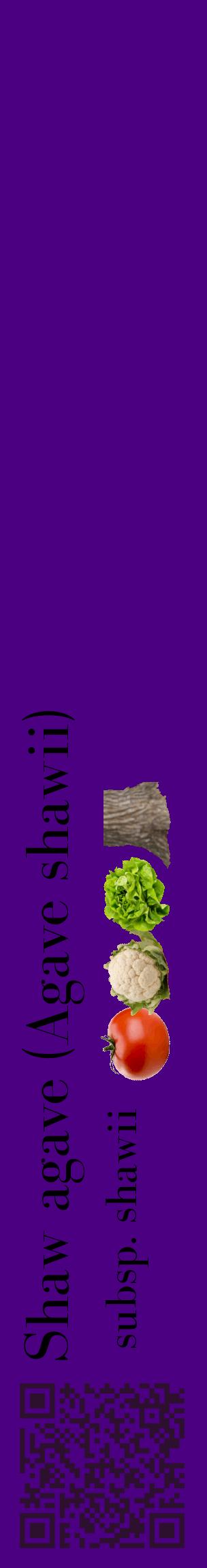 Étiquette de : Agave shawii subsp. shawii - format c - style noire47_basiquebod avec qrcode et comestibilité simplifiée