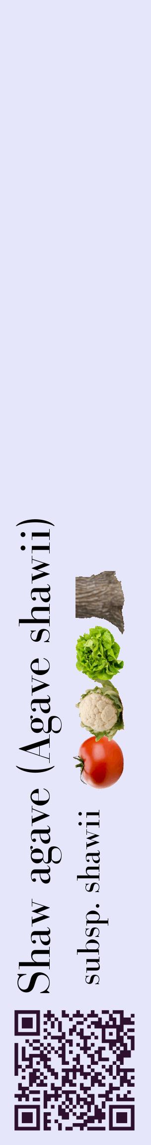 Étiquette de : Agave shawii subsp. shawii - format c - style noire55_basiquebod avec qrcode et comestibilité simplifiée
