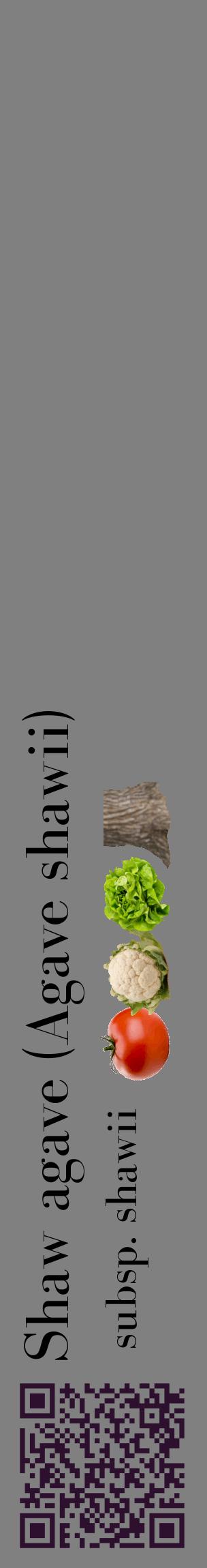 Étiquette de : Agave shawii subsp. shawii - format c - style noire57_basiquebod avec qrcode et comestibilité simplifiée