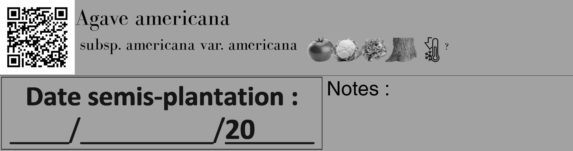 Étiquette de : Agave americana subsp. americana var. americana - format c - style noire38_basique_basiquebod avec qrcode et comestibilité simplifiée