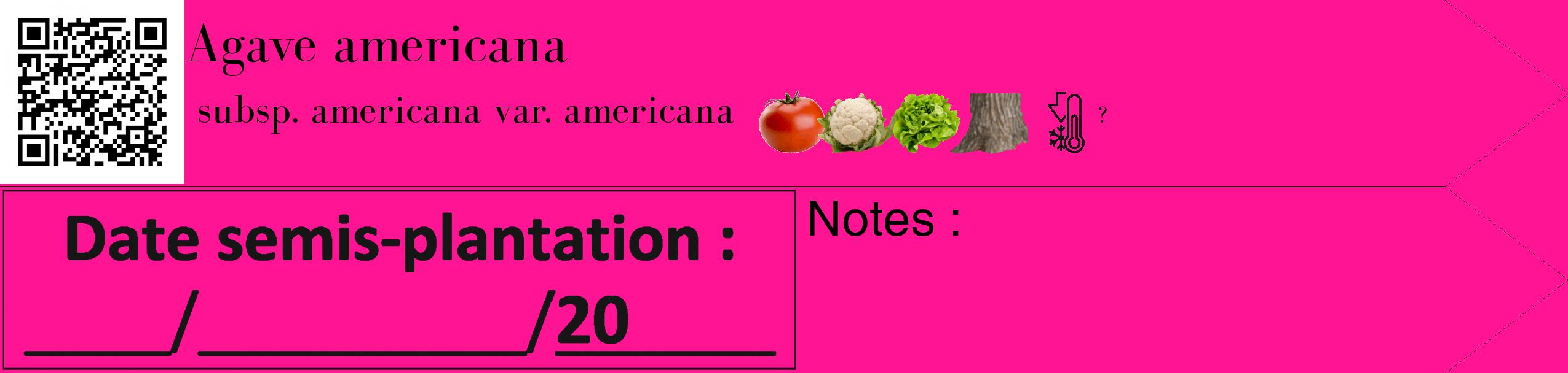 Étiquette de : Agave americana subsp. americana var. americana - format c - style noire43_simple_simplebod avec qrcode et comestibilité simplifiée