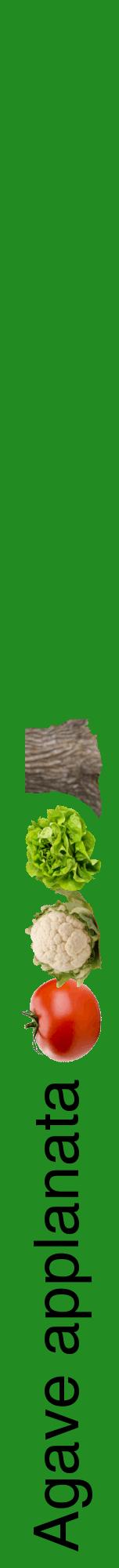 Étiquette de : Agave applanata - format a - style noire10hel avec comestibilité simplifiée