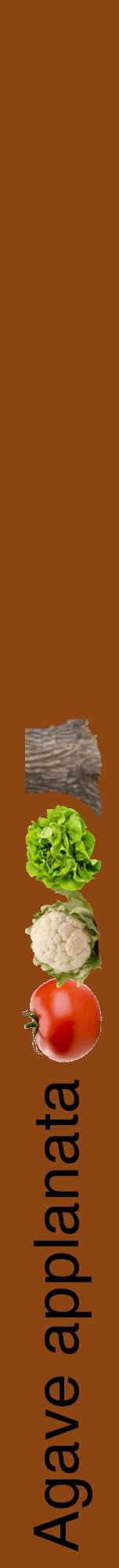 Étiquette de : Agave applanata - format a - style noire30hel avec comestibilité simplifiée