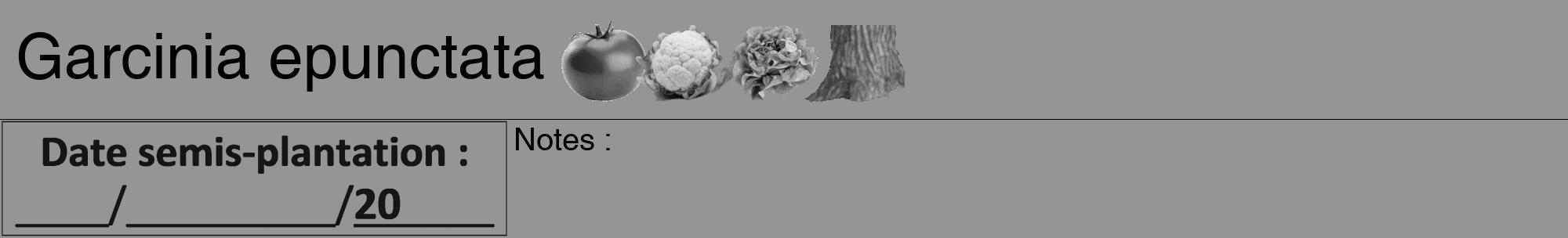 Étiquette de : Garcinia epunctata - format a - style noire16hel avec comestibilité simplifiée