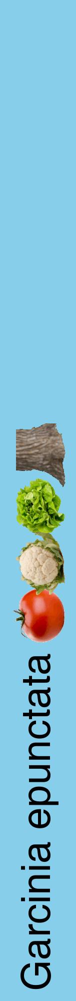 Étiquette de : Garcinia epunctata - format a - style noire1hel avec comestibilité simplifiée