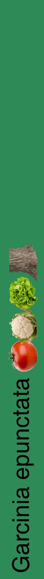 Étiquette de : Garcinia epunctata - format a - style noire11hel avec comestibilité simplifiée