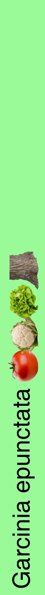 Étiquette de : Garcinia epunctata - format a - style noire14hel avec comestibilité simplifiée