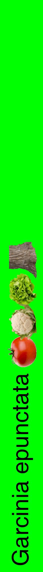 Étiquette de : Garcinia epunctata - format a - style noire16hel avec comestibilité simplifiée