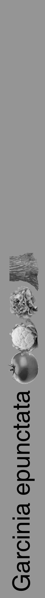 Étiquette de : Garcinia epunctata - format a - style noire16hel avec comestibilité simplifiée - position verticale
