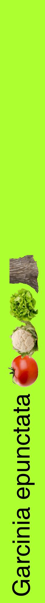 Étiquette de : Garcinia epunctata - format a - style noire17hel avec comestibilité simplifiée