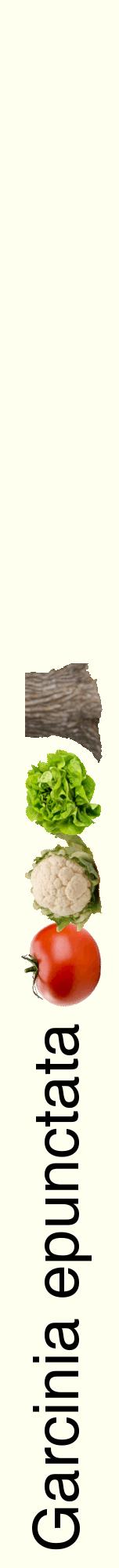 Étiquette de : Garcinia epunctata - format a - style noire19hel avec comestibilité simplifiée