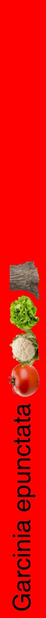 Étiquette de : Garcinia epunctata - format a - style noire27hel avec comestibilité simplifiée