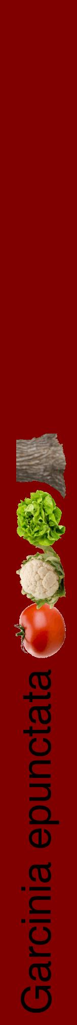 Étiquette de : Garcinia epunctata - format a - style noire29hel avec comestibilité simplifiée