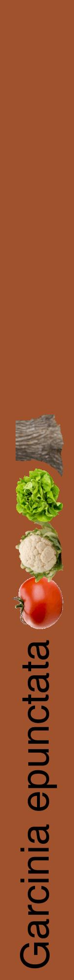 Étiquette de : Garcinia epunctata - format a - style noire32hel avec comestibilité simplifiée