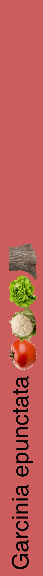 Étiquette de : Garcinia epunctata - format a - style noire35hel avec comestibilité simplifiée