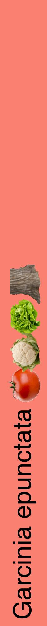 Étiquette de : Garcinia epunctata - format a - style noire38hel avec comestibilité simplifiée