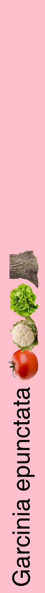 Étiquette de : Garcinia epunctata - format a - style noire40hel avec comestibilité simplifiée