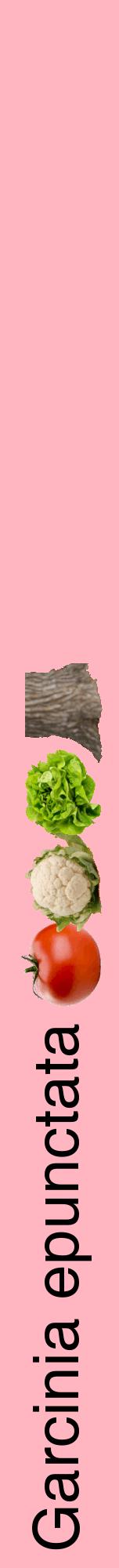 Étiquette de : Garcinia epunctata - format a - style noire41hel avec comestibilité simplifiée