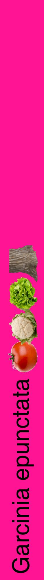 Étiquette de : Garcinia epunctata - format a - style noire43hel avec comestibilité simplifiée