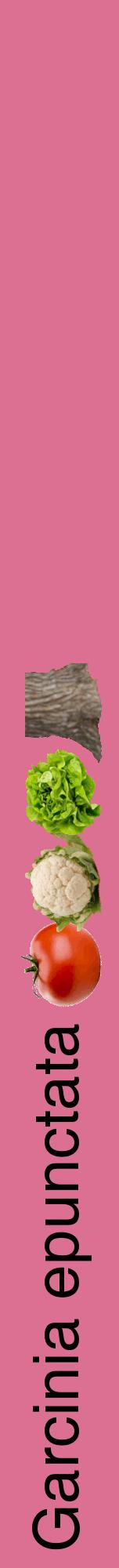Étiquette de : Garcinia epunctata - format a - style noire44hel avec comestibilité simplifiée