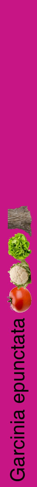Étiquette de : Garcinia epunctata - format a - style noire45hel avec comestibilité simplifiée