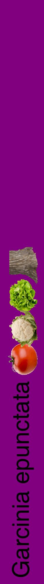 Étiquette de : Garcinia epunctata - format a - style noire46hel avec comestibilité simplifiée