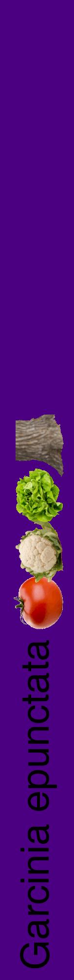 Étiquette de : Garcinia epunctata - format a - style noire47hel avec comestibilité simplifiée