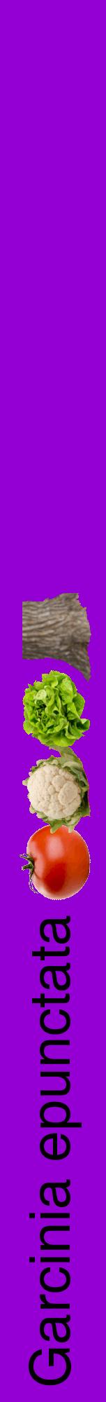 Étiquette de : Garcinia epunctata - format a - style noire48hel avec comestibilité simplifiée