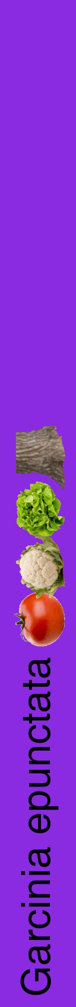 Étiquette de : Garcinia epunctata - format a - style noire49hel avec comestibilité simplifiée