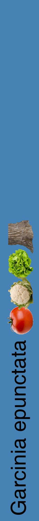 Étiquette de : Garcinia epunctata - format a - style noire5hel avec comestibilité simplifiée