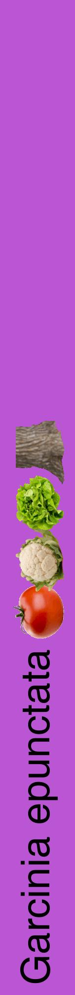 Étiquette de : Garcinia epunctata - format a - style noire50hel avec comestibilité simplifiée