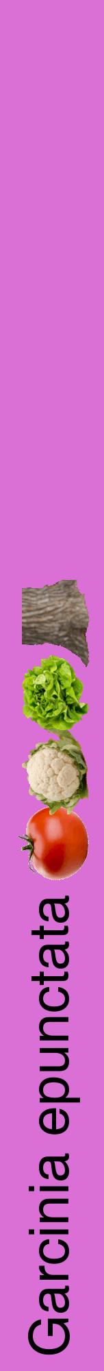 Étiquette de : Garcinia epunctata - format a - style noire52hel avec comestibilité simplifiée