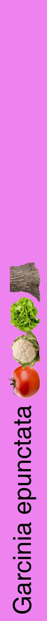 Étiquette de : Garcinia epunctata - format a - style noire53hel avec comestibilité simplifiée