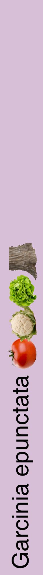 Étiquette de : Garcinia epunctata - format a - style noire54hel avec comestibilité simplifiée