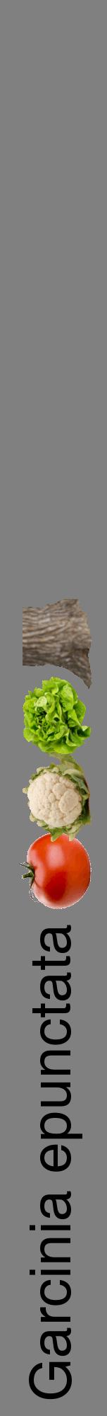 Étiquette de : Garcinia epunctata - format a - style noire57hel avec comestibilité simplifiée