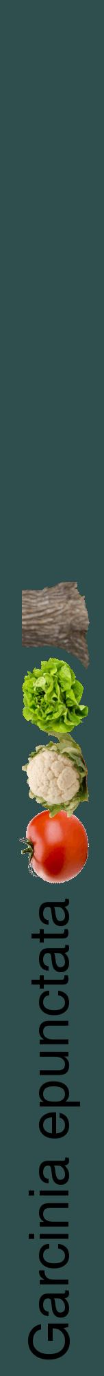 Étiquette de : Garcinia epunctata - format a - style noire58hel avec comestibilité simplifiée