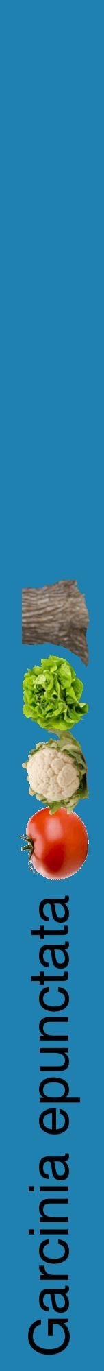 Étiquette de : Garcinia epunctata - format a - style noire6hel avec comestibilité simplifiée