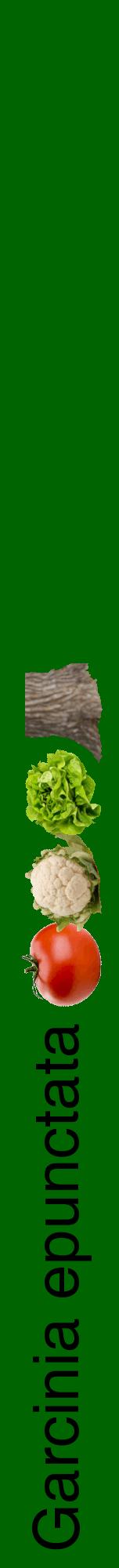 Étiquette de : Garcinia epunctata - format a - style noire8hel avec comestibilité simplifiée