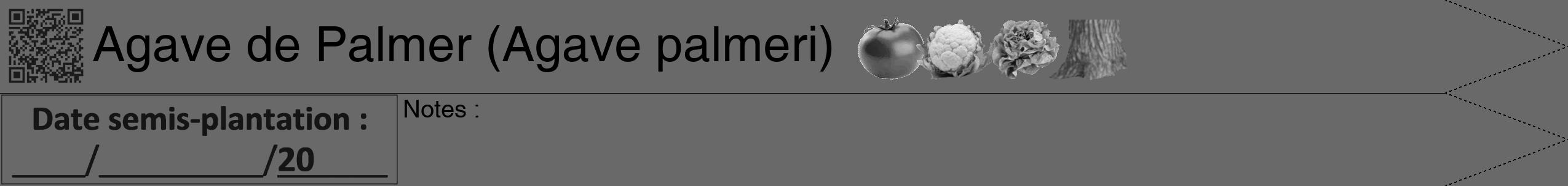Étiquette de : Agave palmeri - format b - style noire51hel avec qrcode et comestibilité simplifiée