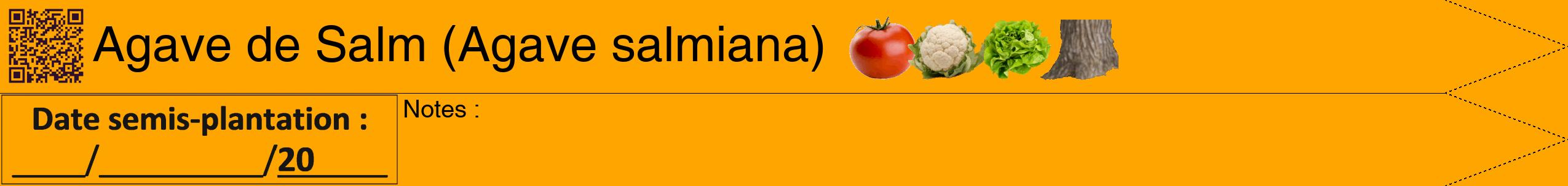 Étiquette de : Agave salmiana - format b - style noire22hel avec qrcode et comestibilité simplifiée